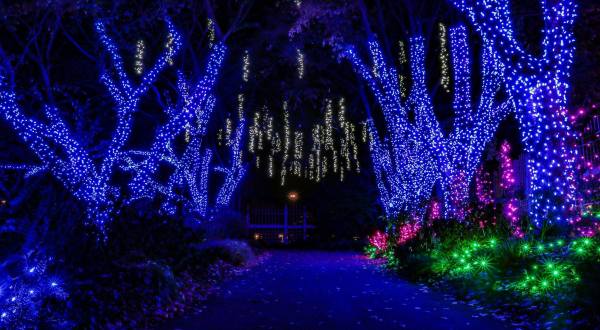 Walk Through A Winter Wonderland Of Ice This Holiday Season At The Winter Walk Of Lights In Virginia
