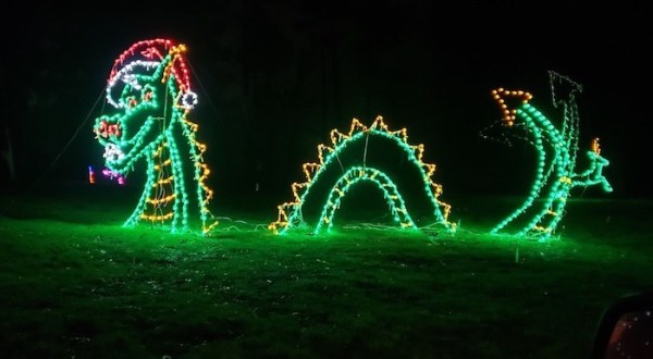 The Symphony of Lights In Iowa Is A Magical Wintertime Fairyland Experience