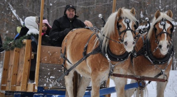 Take A Sleigh Ride Through An Idyllic Winter Wonderland At On Twin Lakes In Wisconsin
