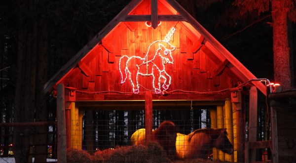 The Christmas Zoo In Wisconsin That Will Make Your Winter Unforgettable