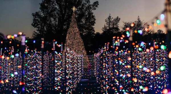 A Christmas Lights Maze Is In Piney Park In Texas And It Looks As Magical As It Sounds