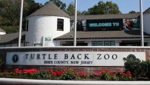 This Zoo In New Jersey Is Also A Restaurant And It's Fun For The Whole Family