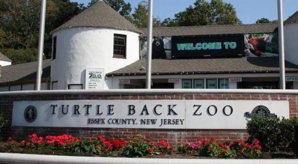 This Zoo In New Jersey Is Also A Restaurant And It’s Fun For The Whole Family