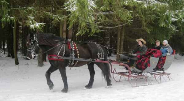 This 45-Minute Michigan Sleigh Ride At Wild West Ranch Takes You Through A Winter Wonderland