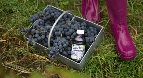 We Bet You Didn’t Know This Small Town In Massachusetts Was Home To The Oldest Grape Juice Company In America