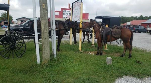 The Scenic Amish Country Route That Leads To Several Old-Fashioned Stores And Experiences