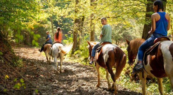 Try Zip Lining And Horseback Riding All At This One Tennessee Adventure Park