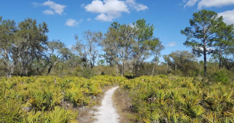 Get Away From The Crowds At This Incredible, Little-Known State Park In Florida