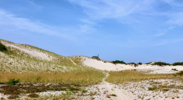 Provincetown Dunes Is An Otherworldly Destination At The End Of Cape Cod, Massachusetts