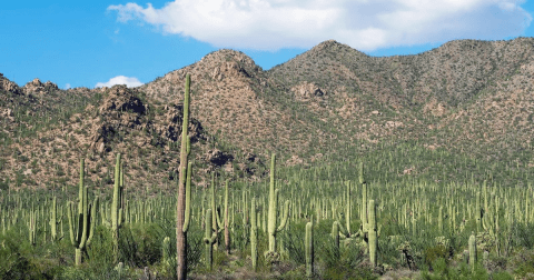 10 Hills Every Arizonan Is Willing To Die On