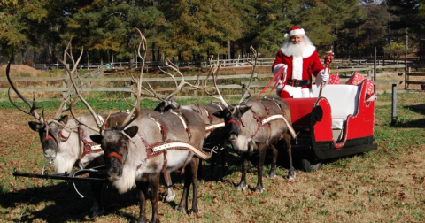 Visit Donner And Blitzen This Holiday Season At Georgia's Very Own Reindeer Farm