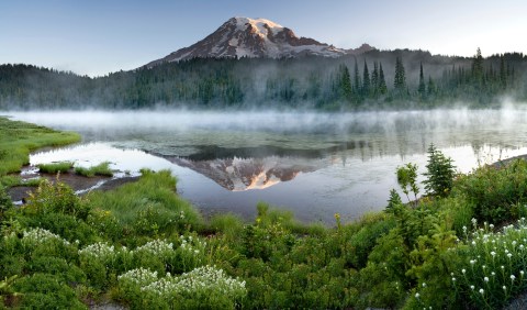 The Ultimate Guide To Washington’s Mount Rainier National Park