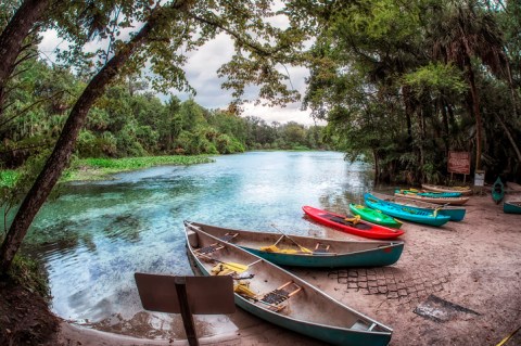 7 Florida Day Trips That Are Even Cooler During The Winter