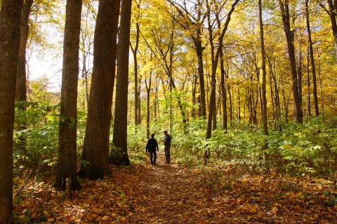 12 Scenic State Parks In Indiana To Explore, One For Each Month Of The Year