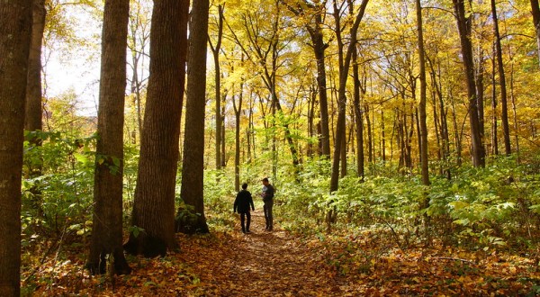 12 Scenic State Parks In Indiana To Explore, One For Each Month Of The Year