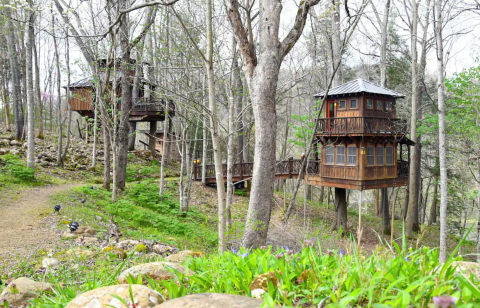 There's A Treehouse Cabin In Virginia That’s Straight Out Of A Fairytale