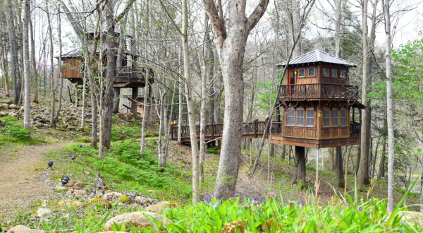 There’s A Treehouse Cabin In Virginia That’s Straight Out Of A Fairytale