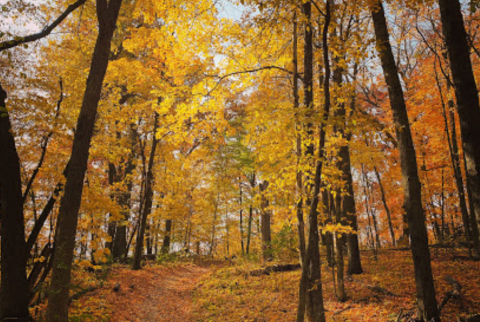 It's Downright Magical To Watch Minnesota's Seasons Change At Lake Maria State Park