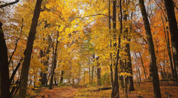 It’s Downright Magical To Watch Minnesota’s Seasons Change At Lake Maria State Park