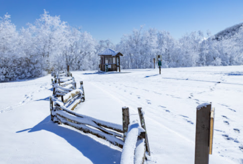 Seeing The Iconic Brasstown Bald Covered In Snow Proves That Winter In Georgia Is Magical