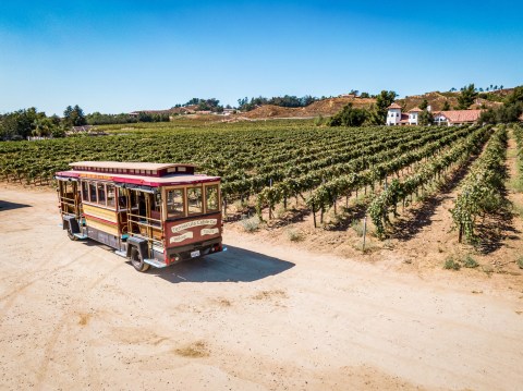 Road Trip To 3 Different Vineyards On The Temecula Valley Cable Car Wine Tour