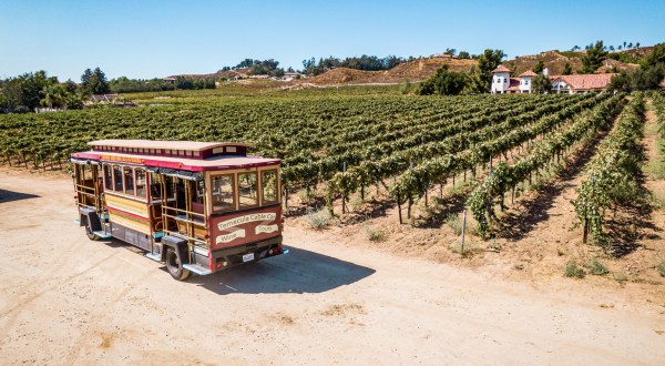 Road Trip To 3 Different Vineyards On The Temecula Valley Cable Car Wine Tour