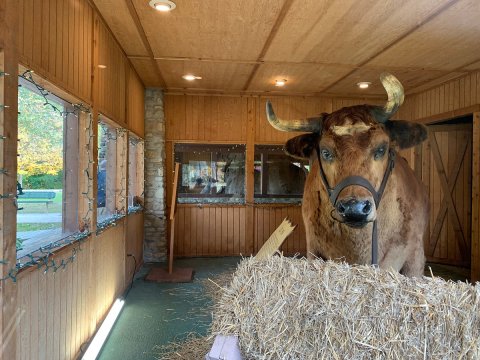 The Charming Small Town in Indiana That Is Home To The World’s Largest Steer And Sycamore Stump