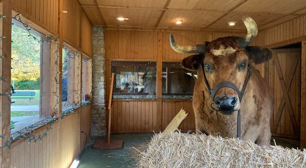 The Charming Small Town in Indiana That Is Home To The World’s Largest Steer And Sycamore Stump