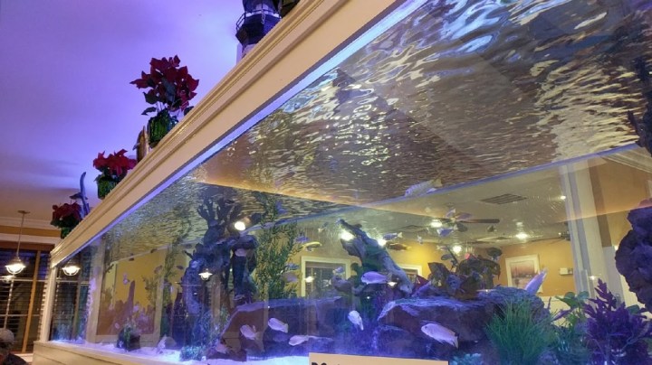 Aquarium Restaurant in South Carolina