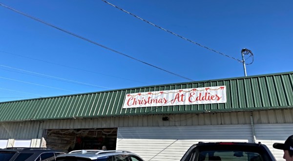 Get In The Spirit At The Most Beautiful Christmas Shop In Alabama: Eddie’s Florist
