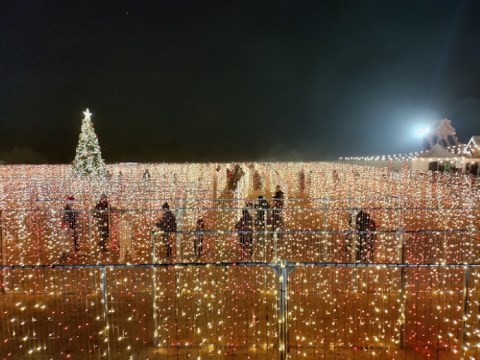 A Christmas Lights Maze Is Near Surprise, Arizona And It Looks As Magical As It Sounds