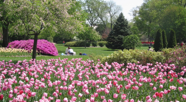 Here Are The 10 Most Beautiful Gardens You’ll Ever See In Maryland