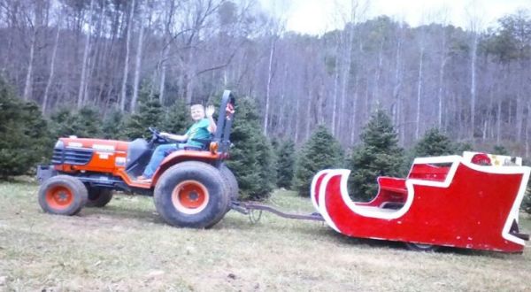 Take A Sleigh Ride Through An Idyllic Christmas Tree Farm At Fir Heaven Sake Christmas Tree Farm In North Carolina