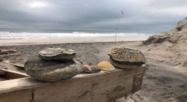 A Trip To This Fossil Beach In North Carolina Is An Adventure Like No Other