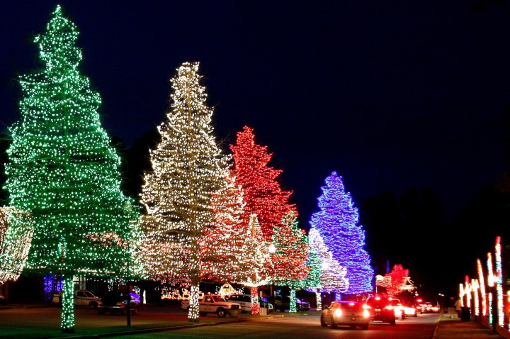 Holiday Lights Displays in South Carolina