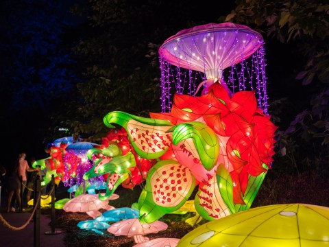 There’s A Chinese Lantern Festival In Arkansas And It’s Downright Magical