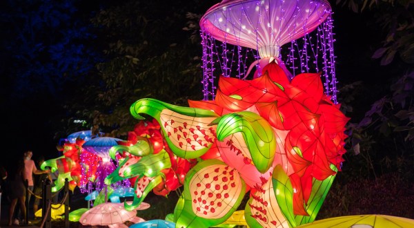 There’s A Chinese Lantern Festival In Arkansas And It’s Downright Magical