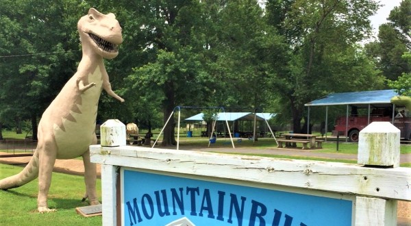 The Dinosaur Themed Playground In Arkansas That’s Oh-So Special