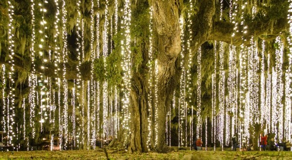 Nights Of A Thousand Candles, A South Carolina Christmas Display, Has Been Named Among The Most Beautiful In The U.S.