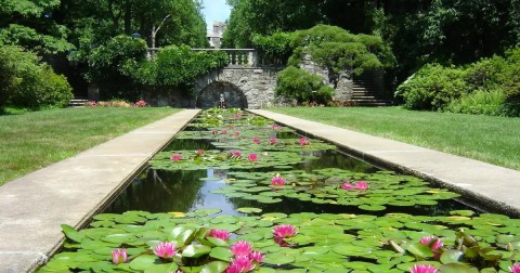 Here Are The 12 Most Beautiful Gardens You'll Ever See In New Jersey