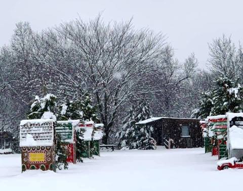 The Christmas Tree Farm In Oklahoma That Will Make Your Winter Unforgettable