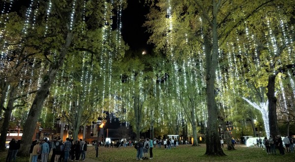 Marvel At Over 100,000 Twinkling Lights At Arkansas’ Most Magical Light Festival This Winter