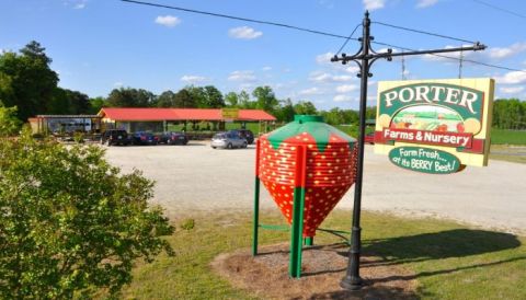 The Scenic NC-42 Route That Leads To 6 Interesting Stops From Food To A Historic Park And A Thrift Store