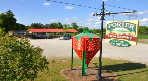 The Scenic NC-42 Route That Leads To 6 Interesting Stops From Food To A Historic Park And A Thrift Store