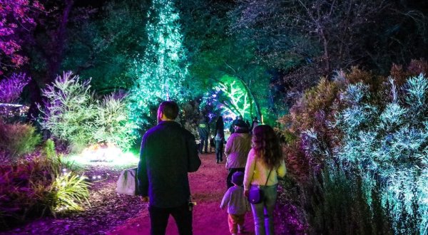 The Garden Christmas Light Display At Turtle Bay Exploration Park In Northern California Is Pure Holiday Magic
