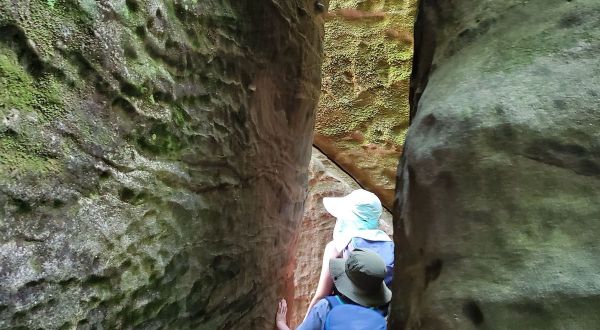 There’s A Canyon In Illinois That Resembles Antelope Canyon, But Hardly Anyone Knows It Exists