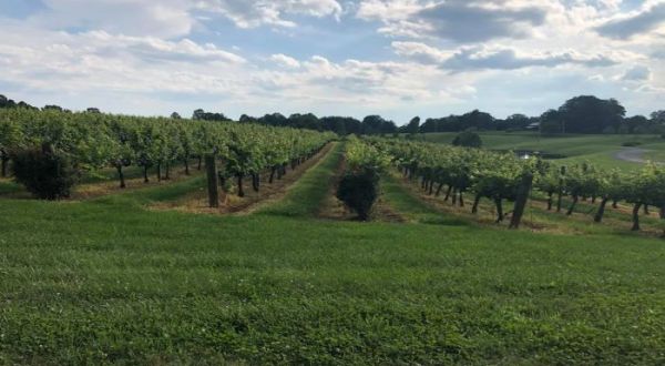 This Perfect North Carolina Vineyard Has Amazing Wine And Even Lets You Spend The Night