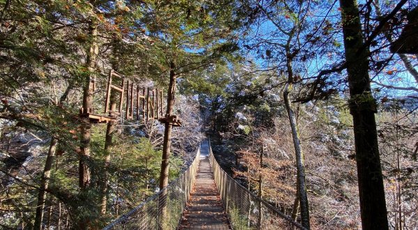 The Longest Elevated Canopy Walk In Massachusetts Can Be Found At Ramblewild
