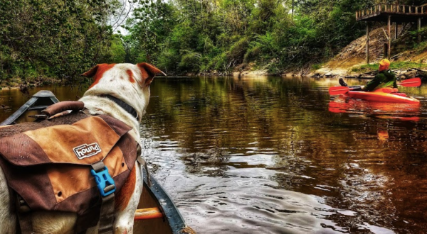 Paddling Through The Hidden Black Creek Is A Magical Mississippi Adventure That Will Light Up Your Soul