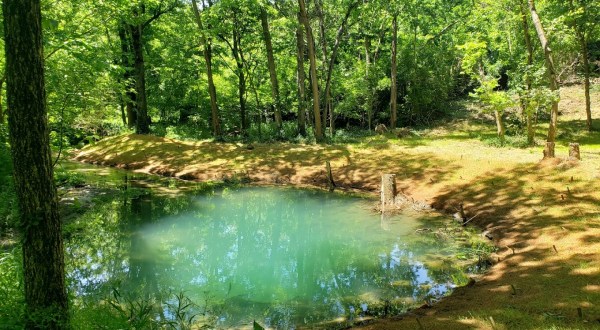 With 26 Acres Of Trails And Brilliant Blue Streams, McConnell Springs Is An Underrated Treasure In Lexington, Kentucky